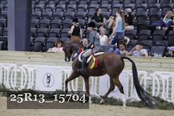 25R13_15704 thumbnail
