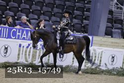 25R13_15749 thumbnail
