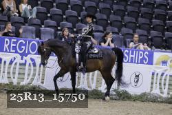 25R13_15750 thumbnail