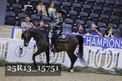 25R13_15751 thumbnail