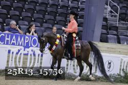 25R13_15756 thumbnail