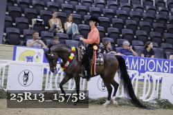 25R13_15758 thumbnail