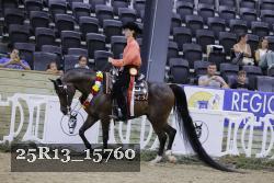 25R13_15760 thumbnail