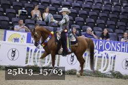 25R13_15763 thumbnail