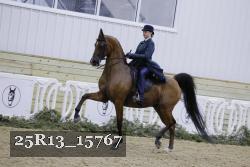 25R13_15767 thumbnail