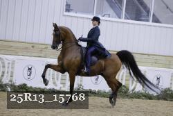 25R13_15768 thumbnail