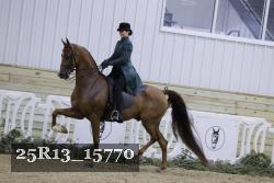 25R13_15770 thumbnail