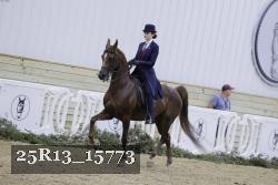 25R13_15773 thumbnail