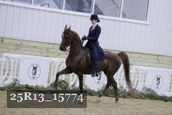 25R13_15774 thumbnail