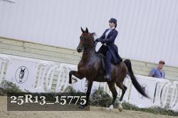 25R13_15775 thumbnail