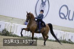 25R13_15777 thumbnail