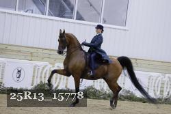 25R13_15778 thumbnail