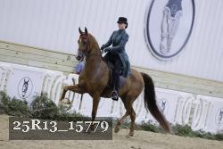 25R13_15779 thumbnail