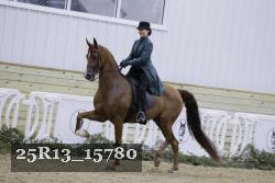 25R13_15780 thumbnail