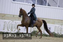 25R13_15781 thumbnail