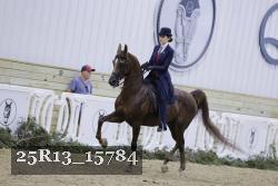25R13_15784 thumbnail