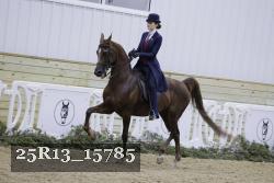 25R13_15785 thumbnail