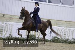 25R13_15786 thumbnail