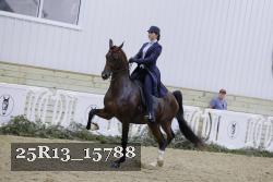 25R13_15788 thumbnail