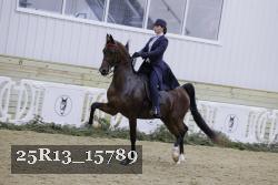 25R13_15789 thumbnail