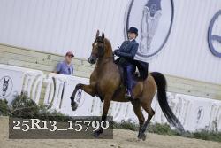 25R13_15790 thumbnail