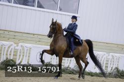25R13_15791 thumbnail