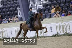 25R13_15793 thumbnail