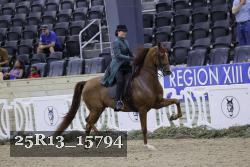 25R13_15794 thumbnail