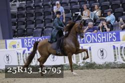 25R13_15795 thumbnail