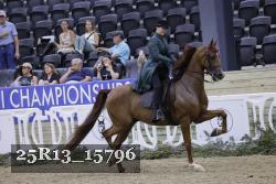 25R13_15796 thumbnail