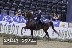 25R13_15824 thumbnail