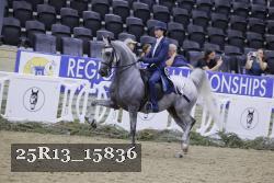 25R13_15836 thumbnail