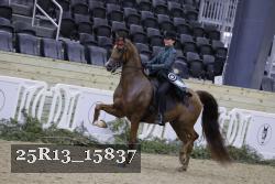 25R13_15837 thumbnail