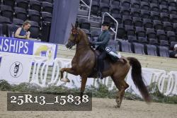 25R13_15838 thumbnail