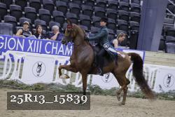 25R13_15839 thumbnail