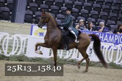 25R13_15840 thumbnail