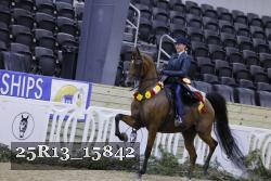 25R13_15842 thumbnail