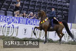25R13_15843 thumbnail