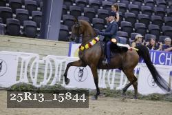 25R13_15844 thumbnail