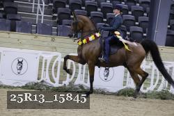 25R13_15845 thumbnail