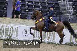 25R13_15846 thumbnail