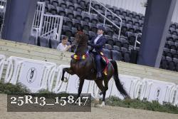 25R13_15847 thumbnail