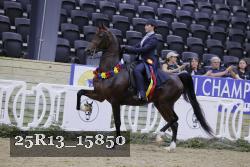 25R13_15850 thumbnail