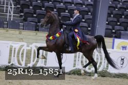 25R13_15851 thumbnail