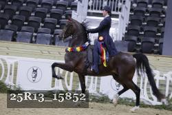25R13_15852 thumbnail
