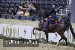 25R13_15853 thumbnail