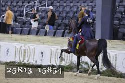 25R13_15854 thumbnail