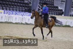 25R13_15855 thumbnail