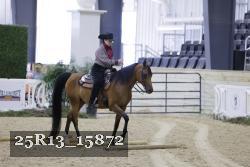 25R13_15872 thumbnail