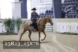 25R13_15878 thumbnail